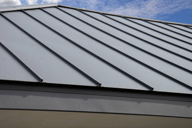 Steel Roofing in Galesville, WI